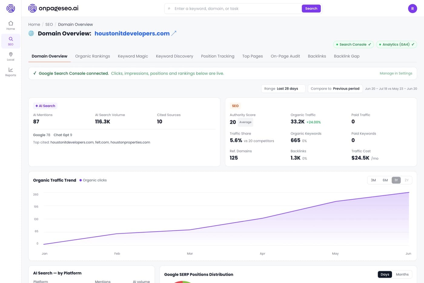Domain Overview: every metric that matters for a site, on one screen. — product screenshot